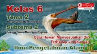 Image of IPA Kelas 6 Tema 2 Subtema 2 - Cara Hewan Menyesuaikan Diri Terhadap Lingkungan